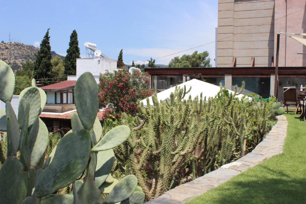 Sole & Otel 3*